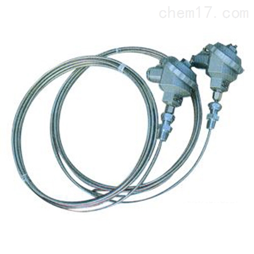 WRNK-331可動(dòng)卡套螺紋裝置式鎧裝熱電偶