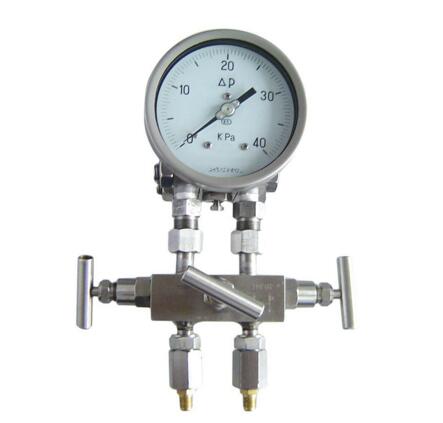雙膜片式高靜壓差壓表